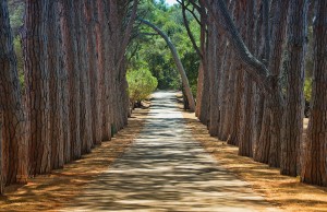 Flora and Fauna of Brijuni Islands 2