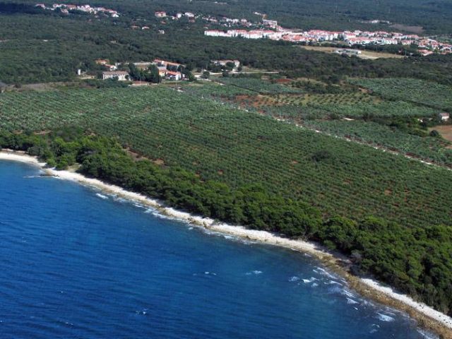 Barbariga Beach