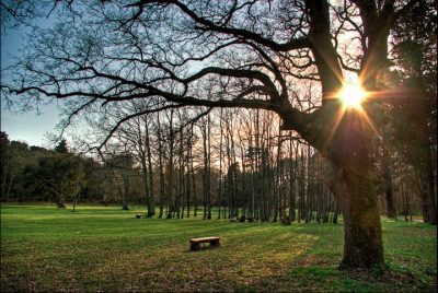 Park-wood Šijana in Pula 1