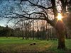 Park-wood Šijana in Pula 1