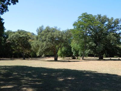 Park-wood Šijana in Pula 2