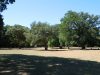Park-wood Šijana in Pula 2