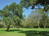 Park-wood Šijana in Pula 4