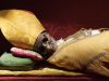 The Church of St Blaise and mysterious mummies of the saints Vodnjan 2