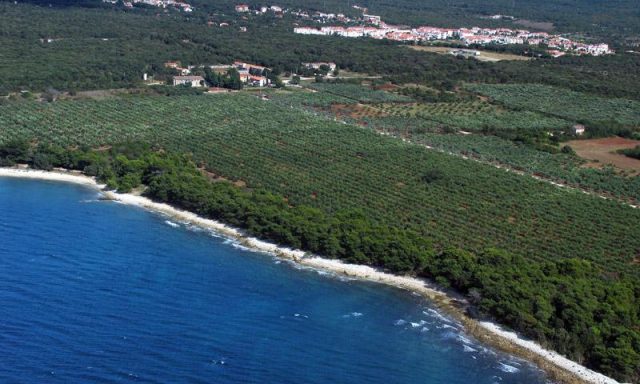 Barbariga Beach