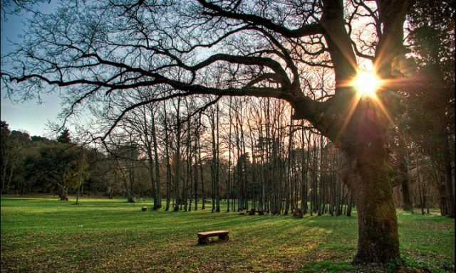 Park-wood Šijana in Pula