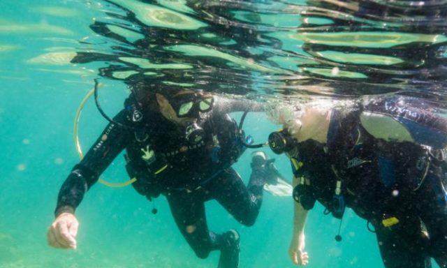 Pula Discover Scuba Diving Package