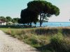 Barbariga Beach 3