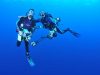Fotosub diving Pula 1