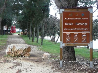 Paleontological site Datule – Barbariga 3