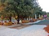 Zeppelin beach & lounge bar Pula 1